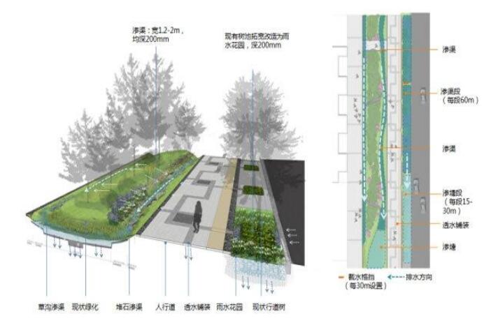 十堰91香蕉视频网站在线看化工介绍海绵城市道路施工结构图！请看下文